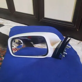 Окуз келле чеп