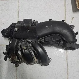 pauk prado 4 lik mator