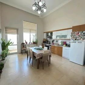 Чехова элитка Çehowa satlyk