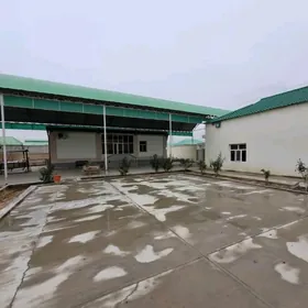 Änew Magtymguly 16 sotuk