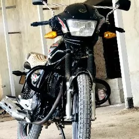 Fekon FK200-14G 2023