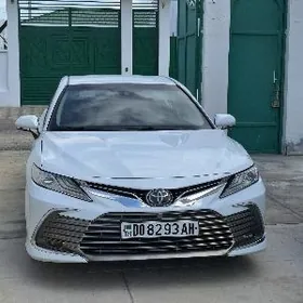 Toyota Camry 2019