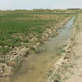 SATLYK MULK YERY 250-GEKTAR.