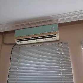 kandisaner  akira 40 lik.