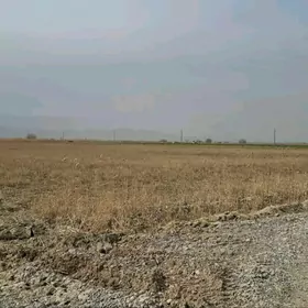 SATLYK OMURLYK DOWLETNAMALY YE