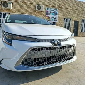 Toyota Corolla 2020
