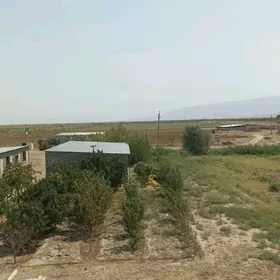 SATLYK MULK YERLER OMURLYK DOW