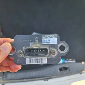 datjik wozduh morda kemiri