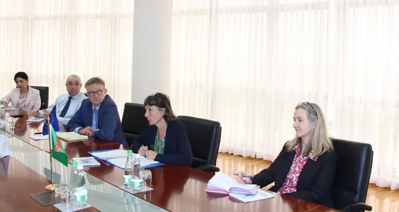 В МИД Туркменистана прошли переговоры с представителем Еврокомиссии