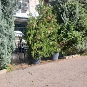 Аренда Квартал 1эт Arenda Сдаю