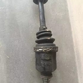 Tersel. granat. angar.