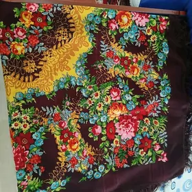 palastka cargat gadym