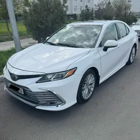 Toyota Camry 2019