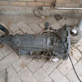 karopka 2.5 prastoý