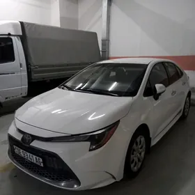 Toyota Corolla 2020