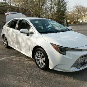 Toyota Corolla 2020