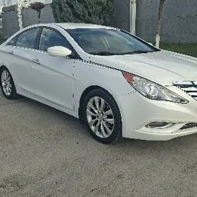 Hyundai Sonata 2010