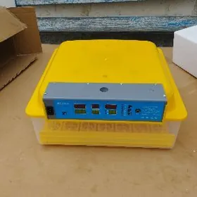 Inkubator 56 yumurtga