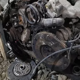 TAYOTA mator kuzov saylar