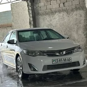 Toyota Camry 2013