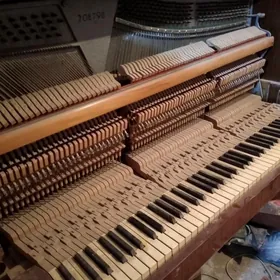 pyanino, пянино