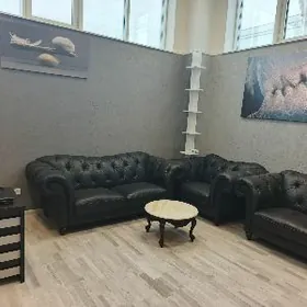 ОФИС АТА ТУРКА ОЛИМП ГОРОДОК