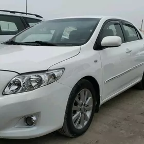 Toyota Corolla 2010