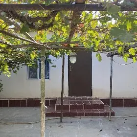 Плановый дом