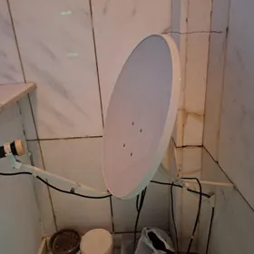 kiçi anten (tarelka anten)