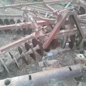 барана диска