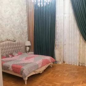 Arenda Çehow️ elitka️