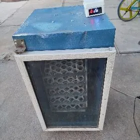 juje cykaryan inkubator