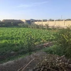 Куйбыш обасы