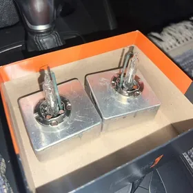 Лампа Phillips D5S