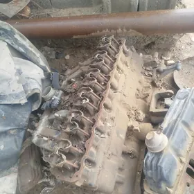 4 lik motor granzrowky