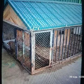 It yatak ketek resotka