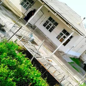 Gökdepe 96njy rezez