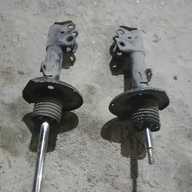 2011 carolla amassatr