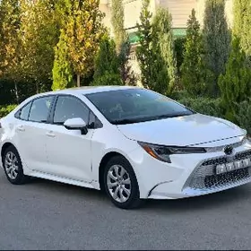 Toyota Corolla 2020
