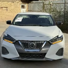 Nissan Maxima 2020
