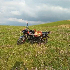 Fekon FK200-14G 2026