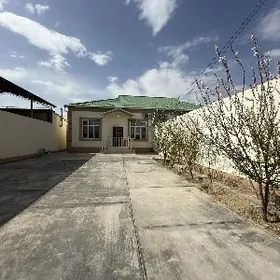 Satlyk Coganly PlanJay! 3sotyk