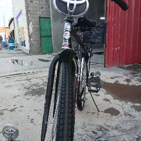 tigir gara orskuňky