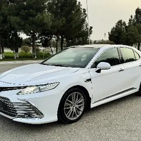 Toyota Camry 2020
