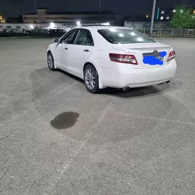 Toyota Camry 2010