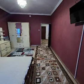 ️  ЭЛИТКА  ️