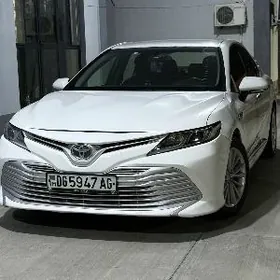 Toyota Camry 2019