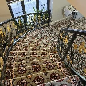 БОТАНИЧЕСКИЙ САД️