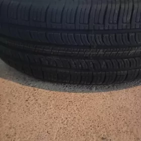 siena diska pakryska