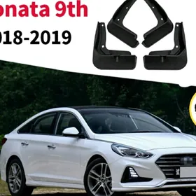 H-Sonata 2018-2019ý. bryzgowik